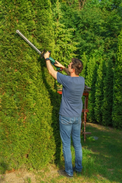 Entretien d'espaces verts et jardinage